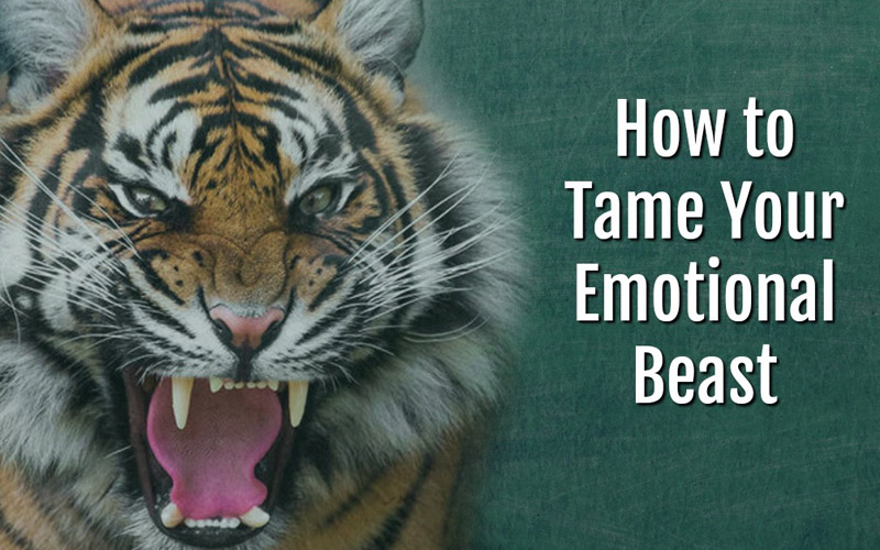Deal with the Angry Varghest: Tips and Tricks to Tame the Beast