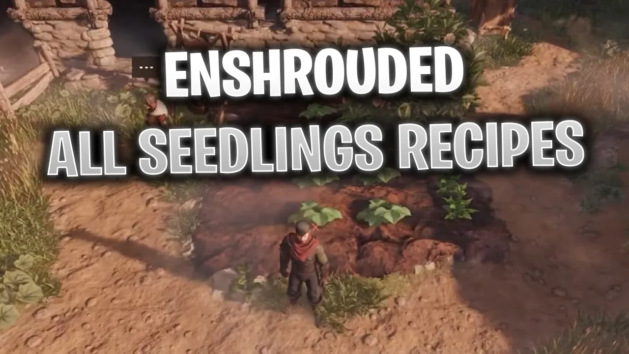 Enshrouded Evergreen Tree Seedling: The Mystery and How to Deal With It