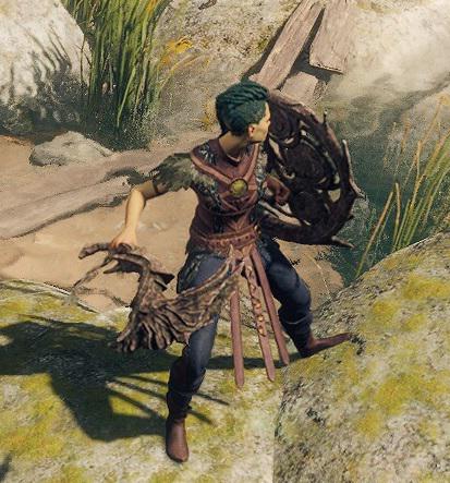 Druid Shield BG3: Exploring the Mysteries of Protection in Baldur's Gate 3