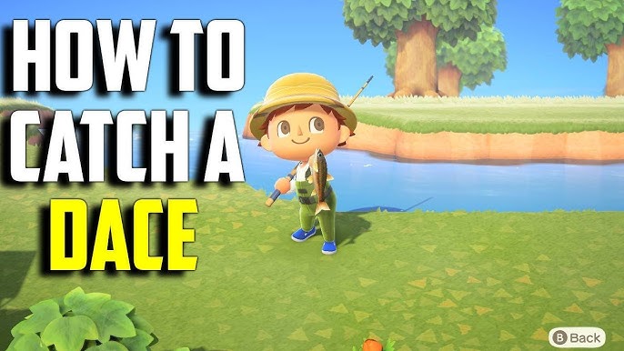 Dace Animal Crossing: Why Does it Happen and How to Fix It?