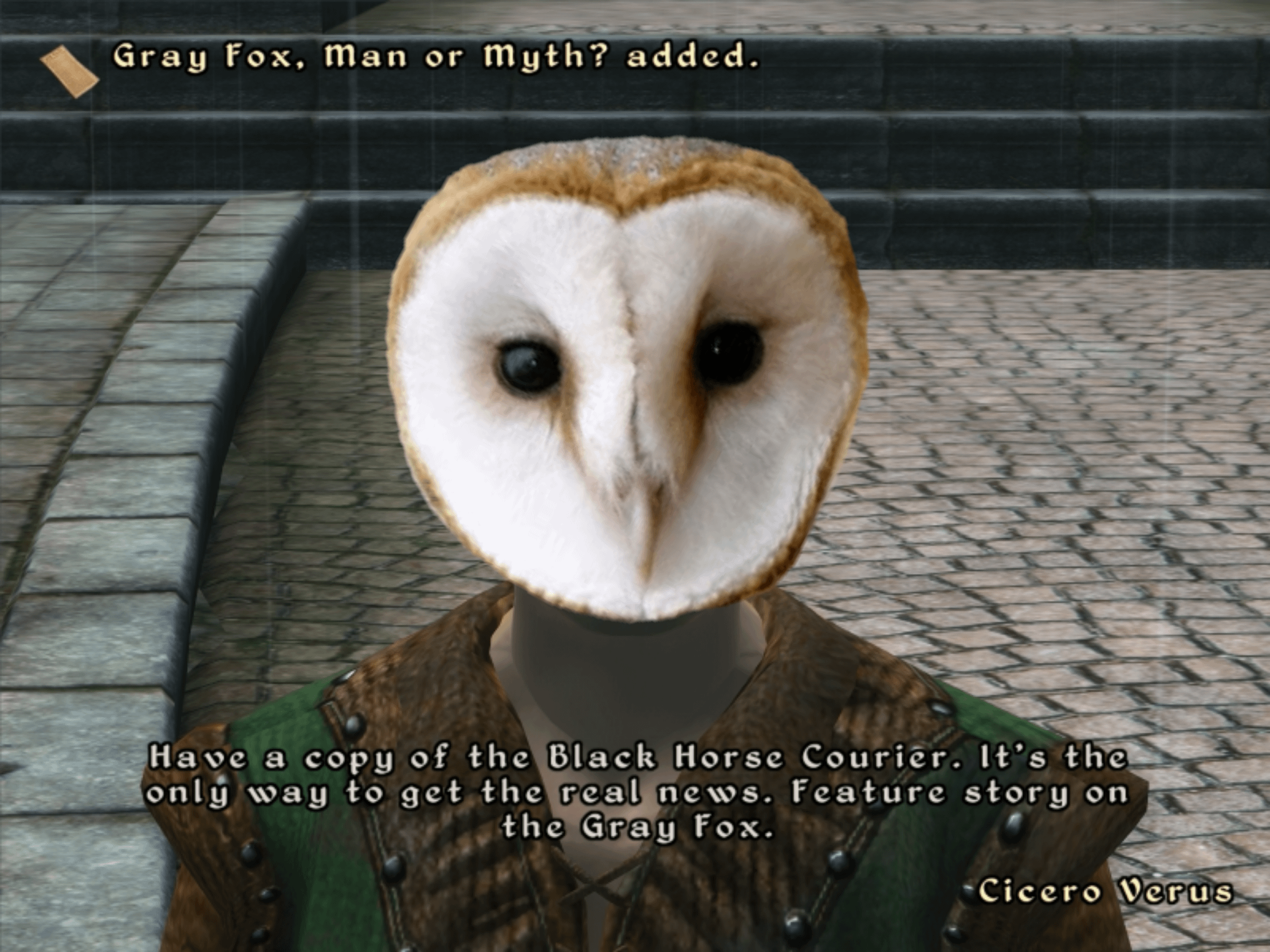 Can You Get an Owl in Hogwarts Legacy?