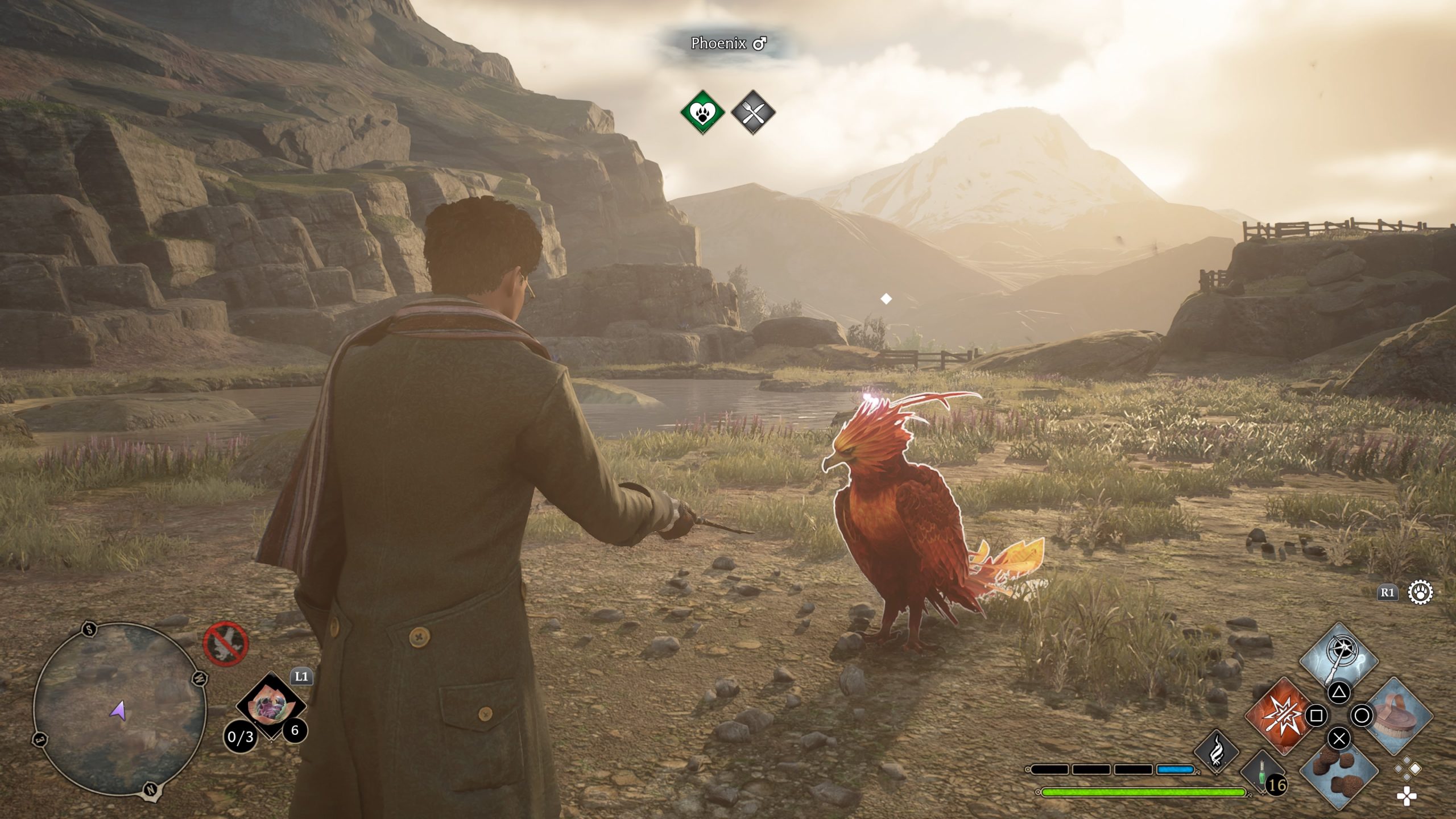 Buy Phoenix Feather Hogwarts Legacy: Everything You Need to Know