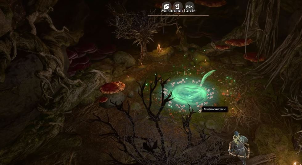 BG3 Overgrown Tunnel Door Mushroom Circle: Solving the Mystery