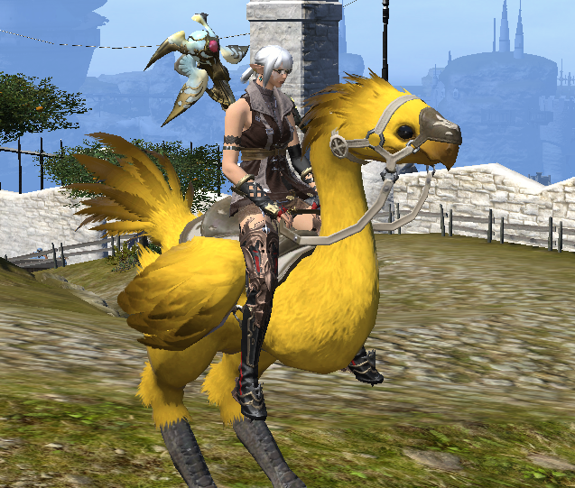 FF14 Honey Yellow Dye: The Color That May Not Be What You Expect!