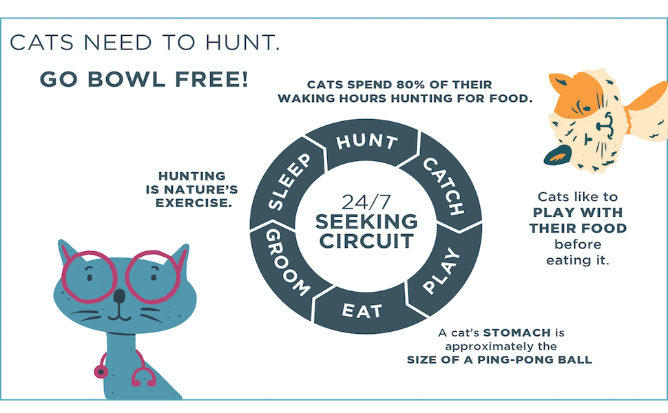 Understanding Cat Food Database in Games: Problems, Solutions, and Player Feedback