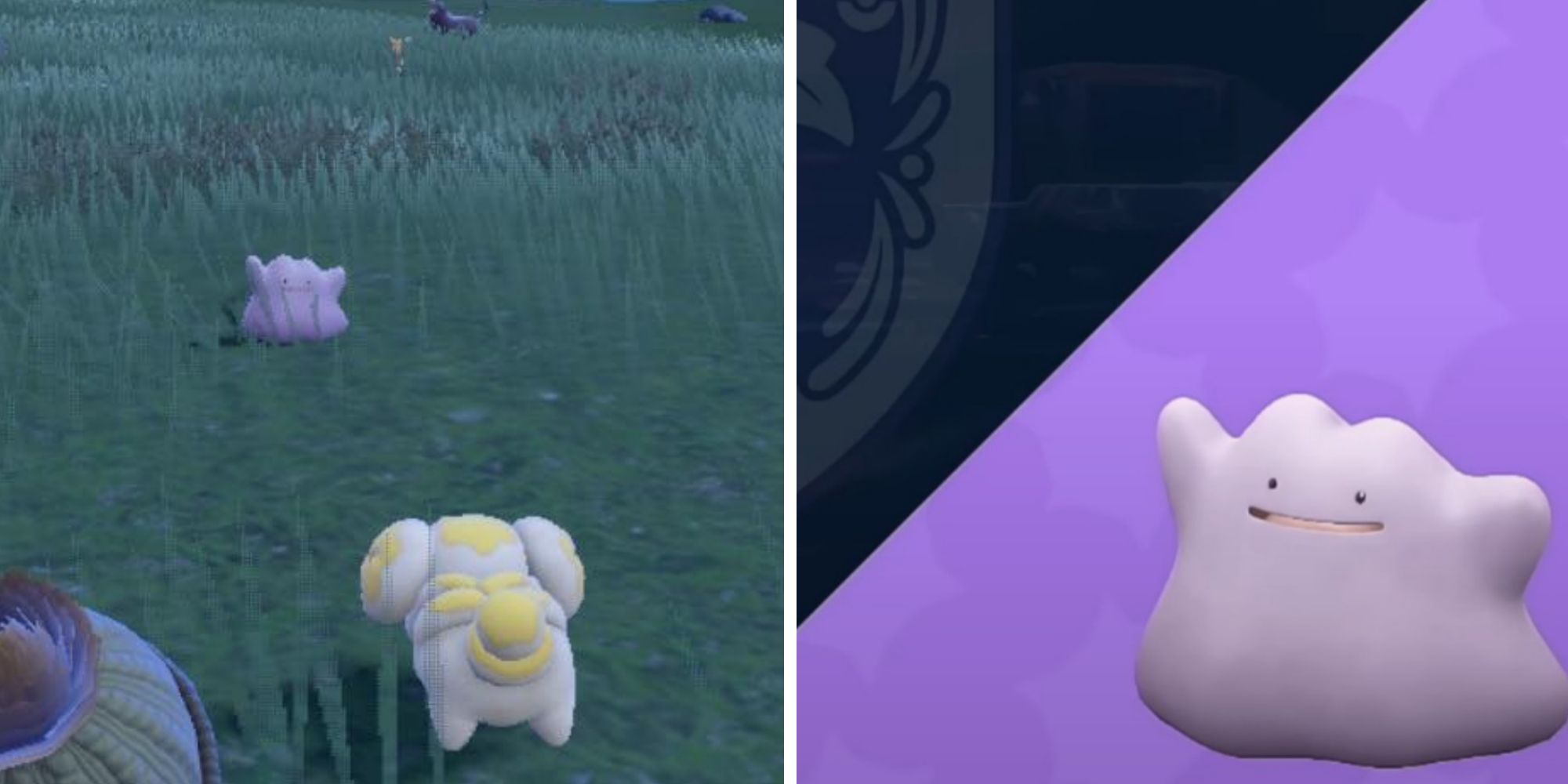 Can You Breed Gimmighoul with Ditto? Let’s Find Out!