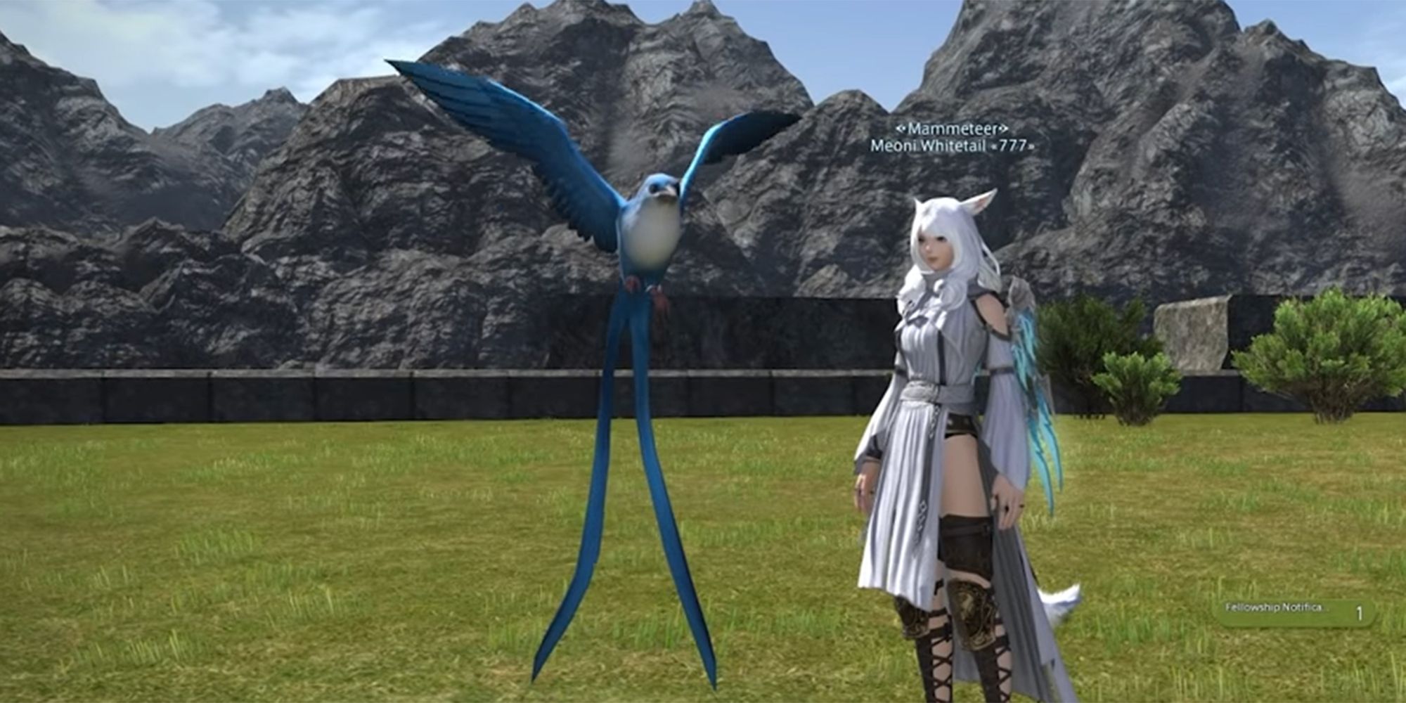 FFXIV Starbird Drop Rate: How to Improve Your Chances and Manage Frustration