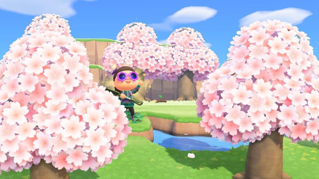 Cherry Blossom Island: A Beautiful but Frustrating Experience