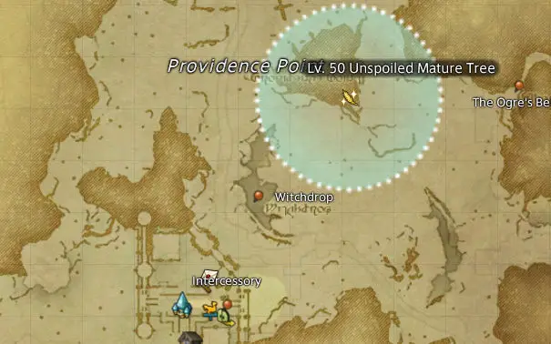 FF14 Island Spruce Log: A Beginner's Guide to Solve the Mystery