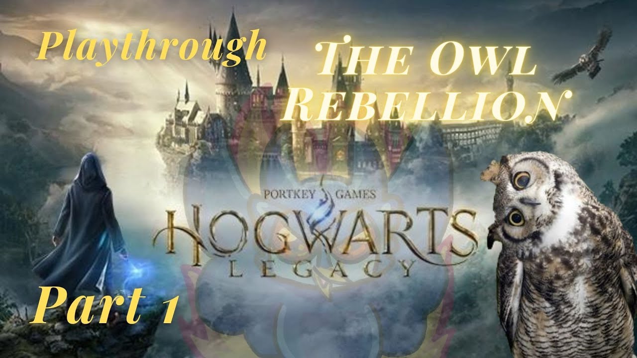 Can You Get an Owl in Hogwarts Legacy?