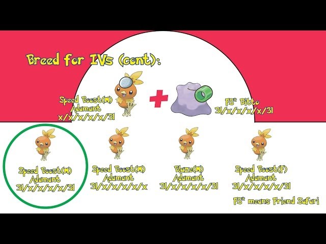 Breeding Pokemon Y: A Fun Guide to Mastering the Art of Breeding