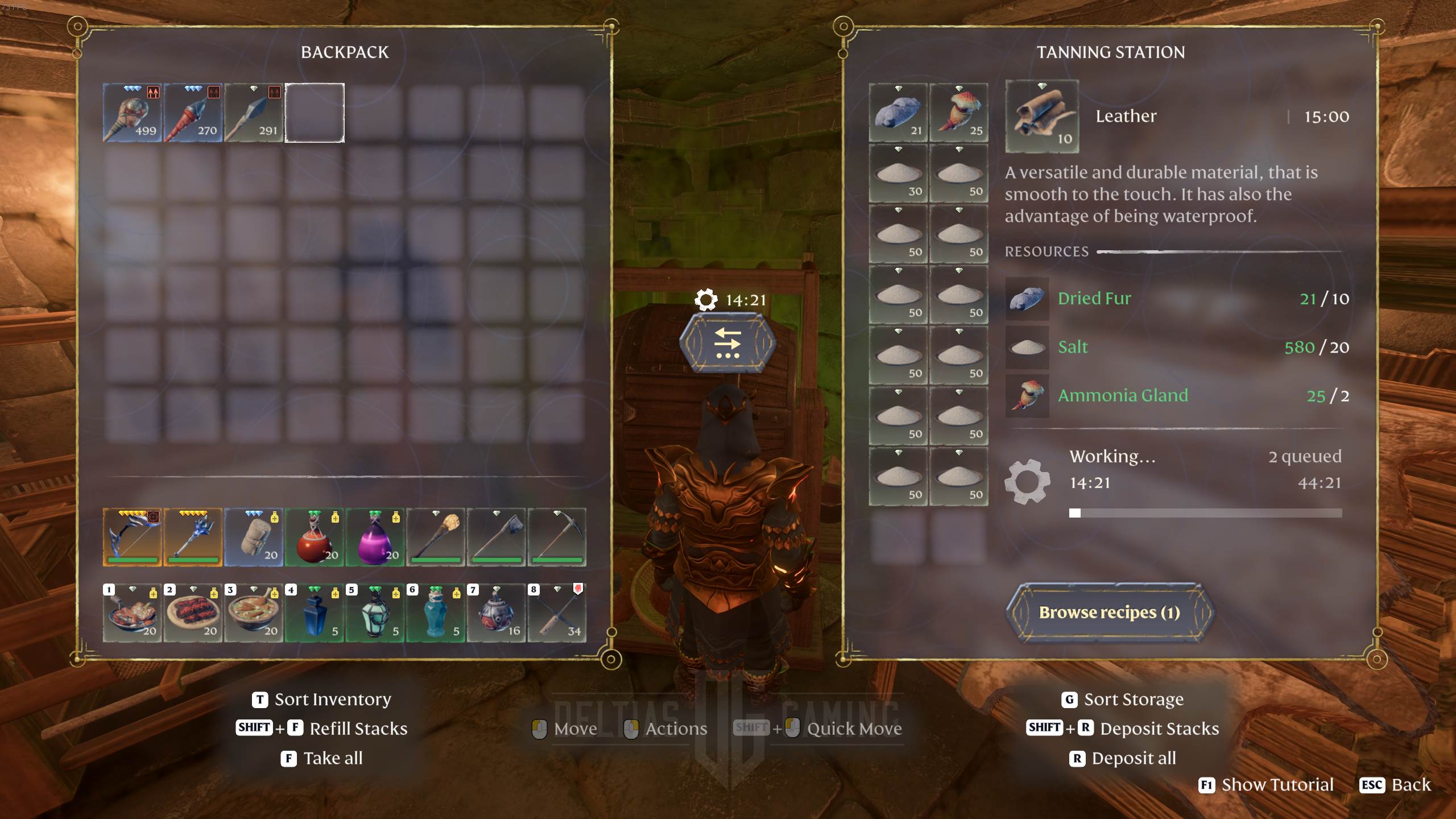 Enshrouded Leather Location in the Game: Where to Find It?