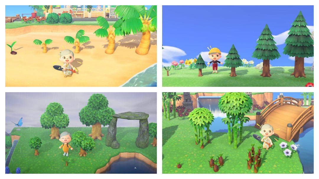 Cedar Sapling ACNH: The Ultimate Guide for Players Struggling with Growing Trees