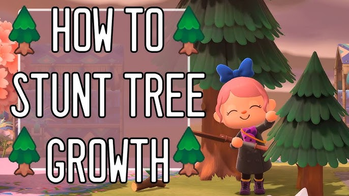 Cedar Tree in Animal Crossing: The Mystery Behind It and How to Deal with It