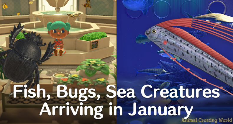 Bugs in January ACNH: The Little Pests You Should Know About