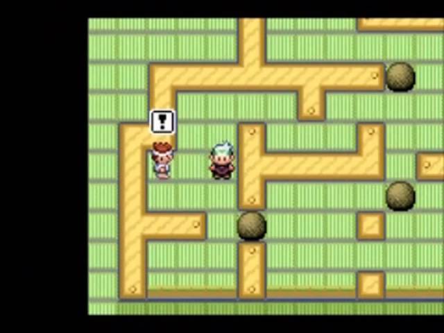 Emerald Trick House: The Puzzle That Keeps You Guessing