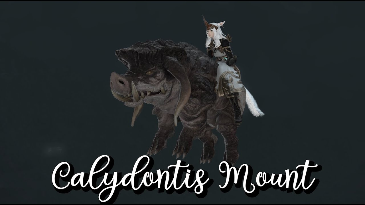 FFXIV Calydontis: An Adventure Full of Surprises