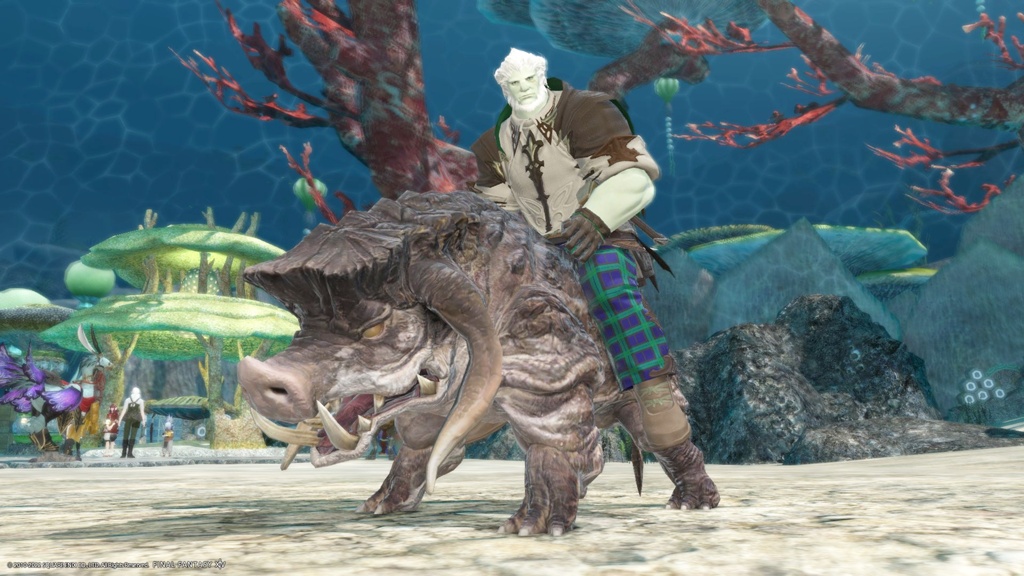 Understanding the Calydontis Horn: A Gamer’s Guide to the Problem and Solutions