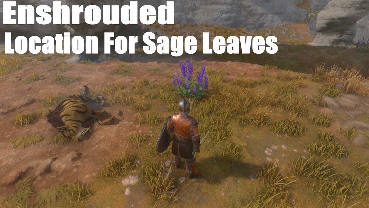 Enshrouded Sage Leaves: The Mystery Every Player Should Solve