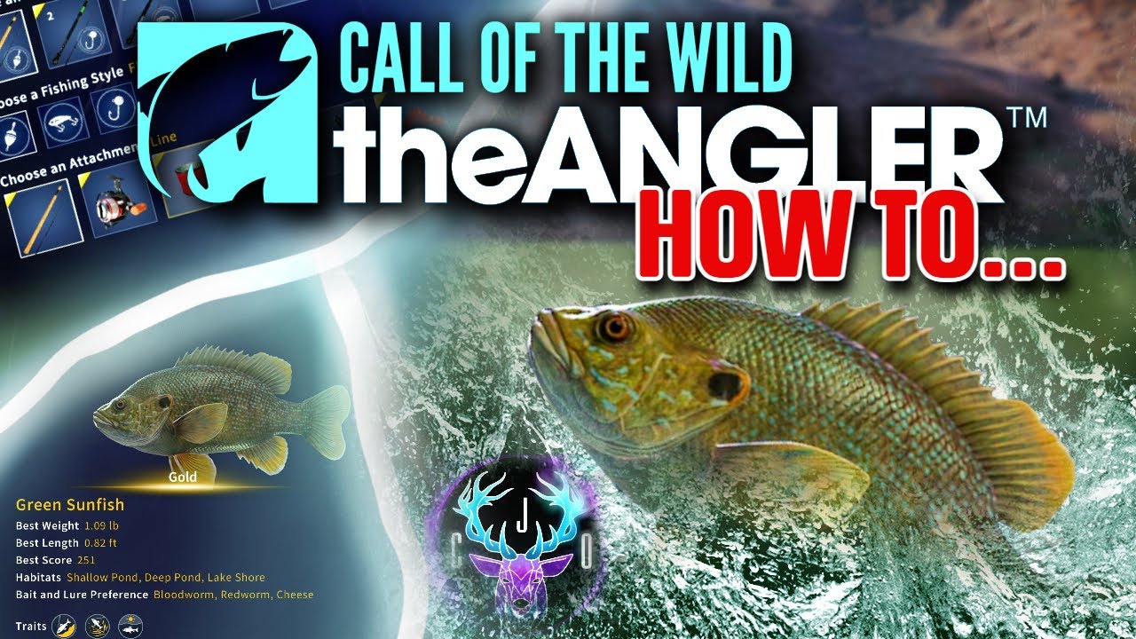 FFXI Gold Carp: A Guide to the Mysterious Fish and How to Catch It