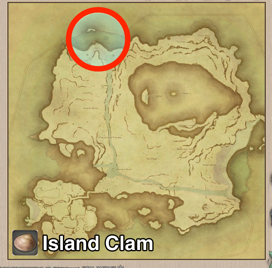 FF14 Island Clam: What's the Deal and How to Handle It?