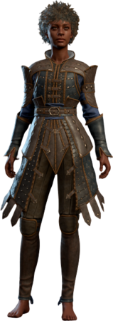Elegant Studded Leather: The Hidden Gem of Game Customization
