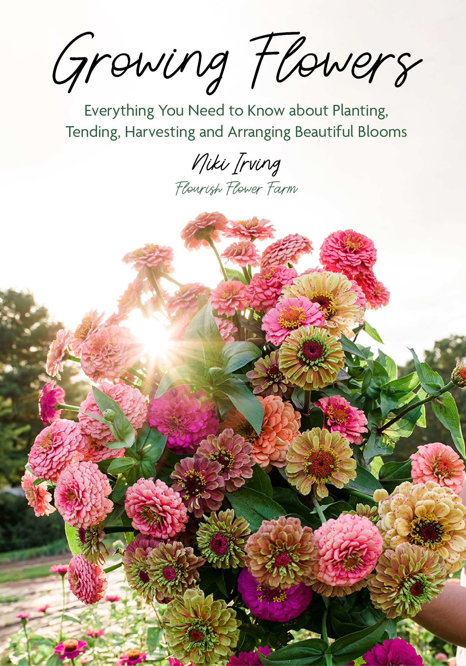 Exploring the Issues in Flower 4: What You Need to Know