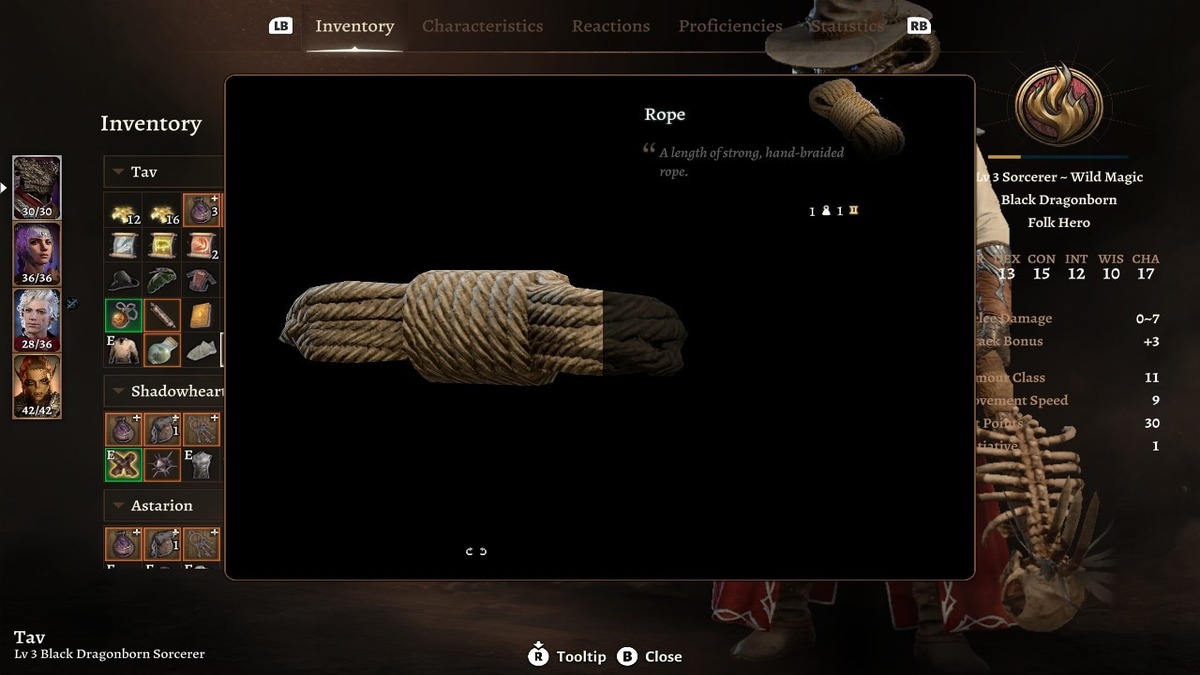 Can You Use Rope in BG3?