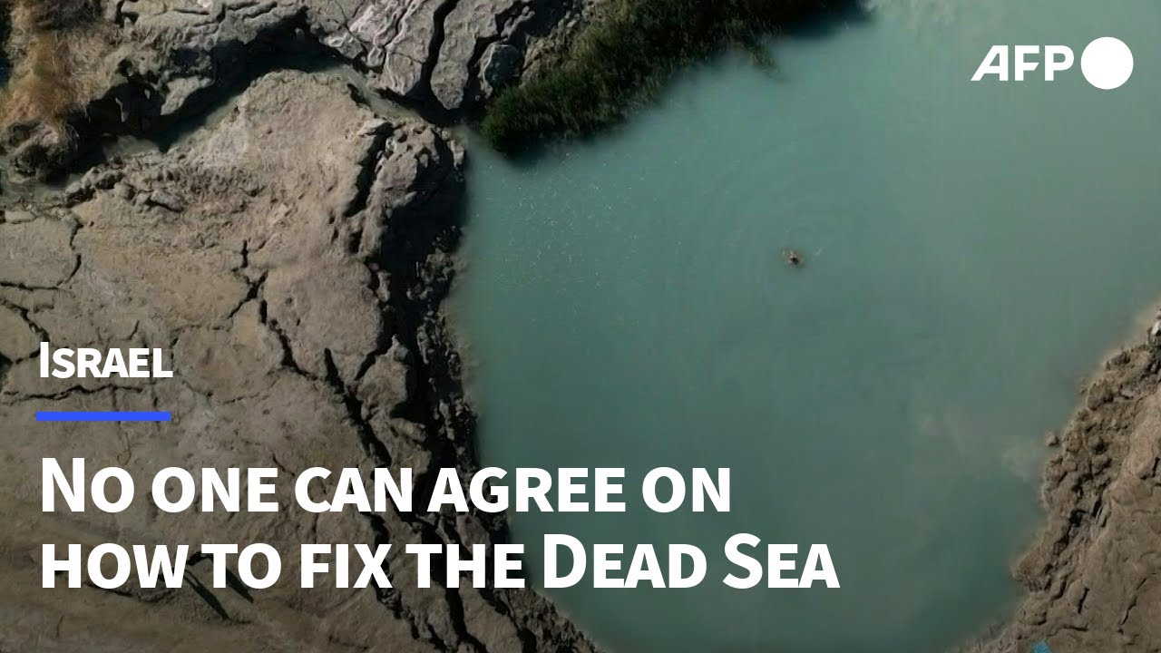 Decanus Dead Sea: What’s the Issue and How Can You Fix It?