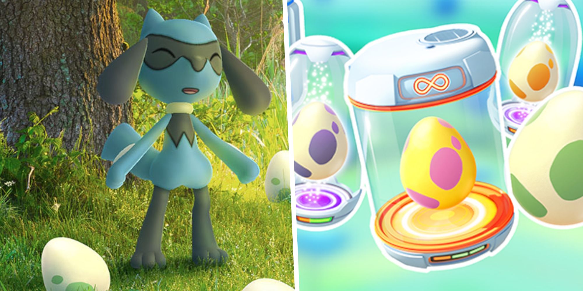 Can You Breed Riolu? A Comprehensive Guide to the Egg-Hatching Mystery!