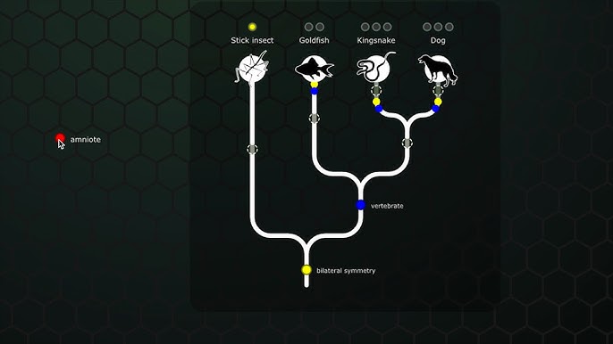 Build a Tree Mission 6: How to Tackle the Challenge and Make It Fun