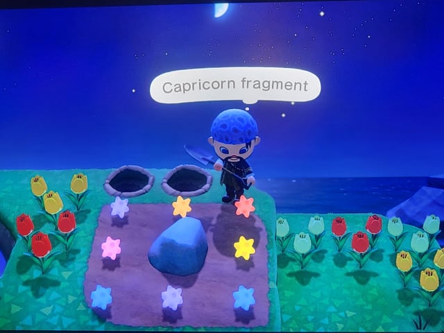 Capricorn Fragment ACNH: Everything You Need to Know!
