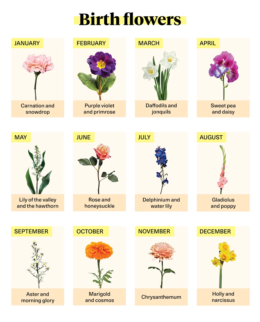 Flower Sweet: Common Issues and Solutions for Players