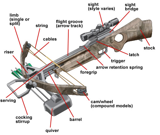 Diagram of a Crossbow: Understanding the Mechanics in Your Favorite Games