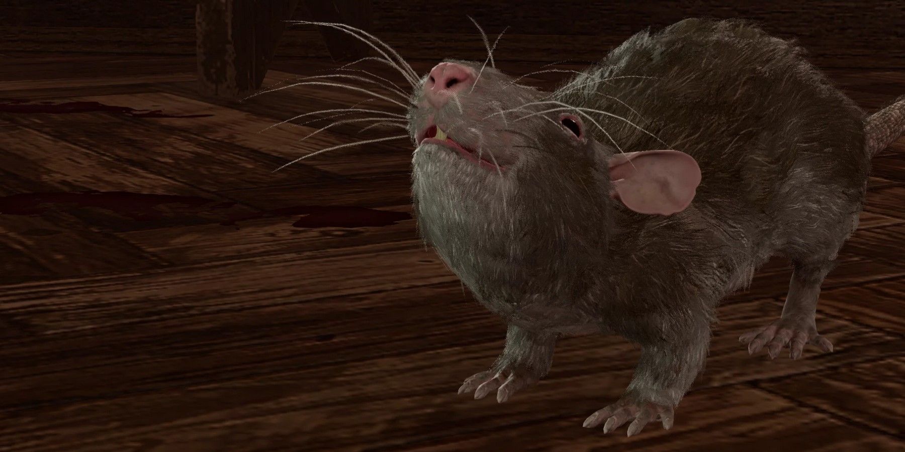 BG3 Many Rats: Why There Are So Many Rats in Baldur’s Gate 3 and How to Deal With Them