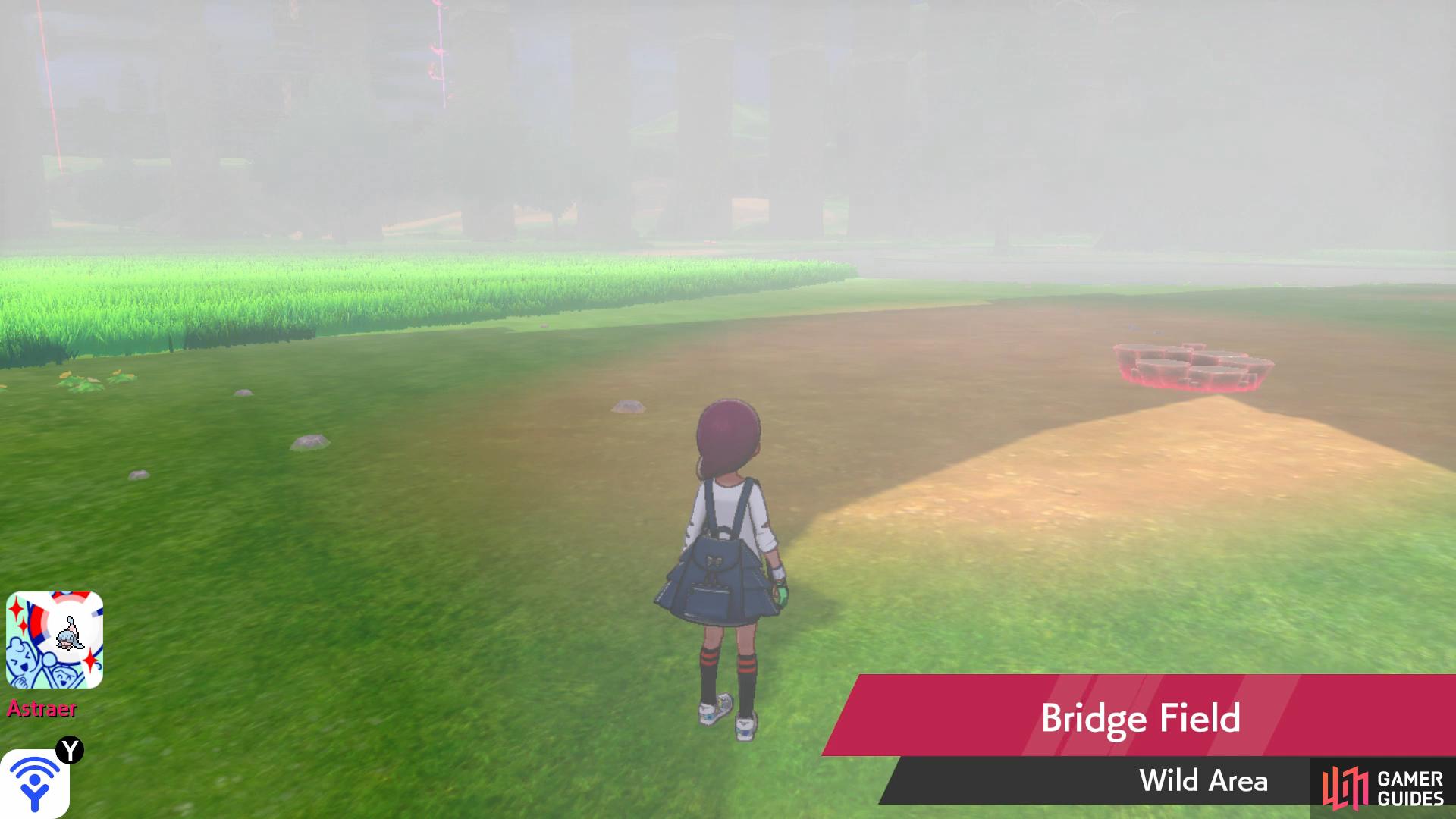 Bridge Field Pokemon Sword: Exploring the Mystery and Solutions