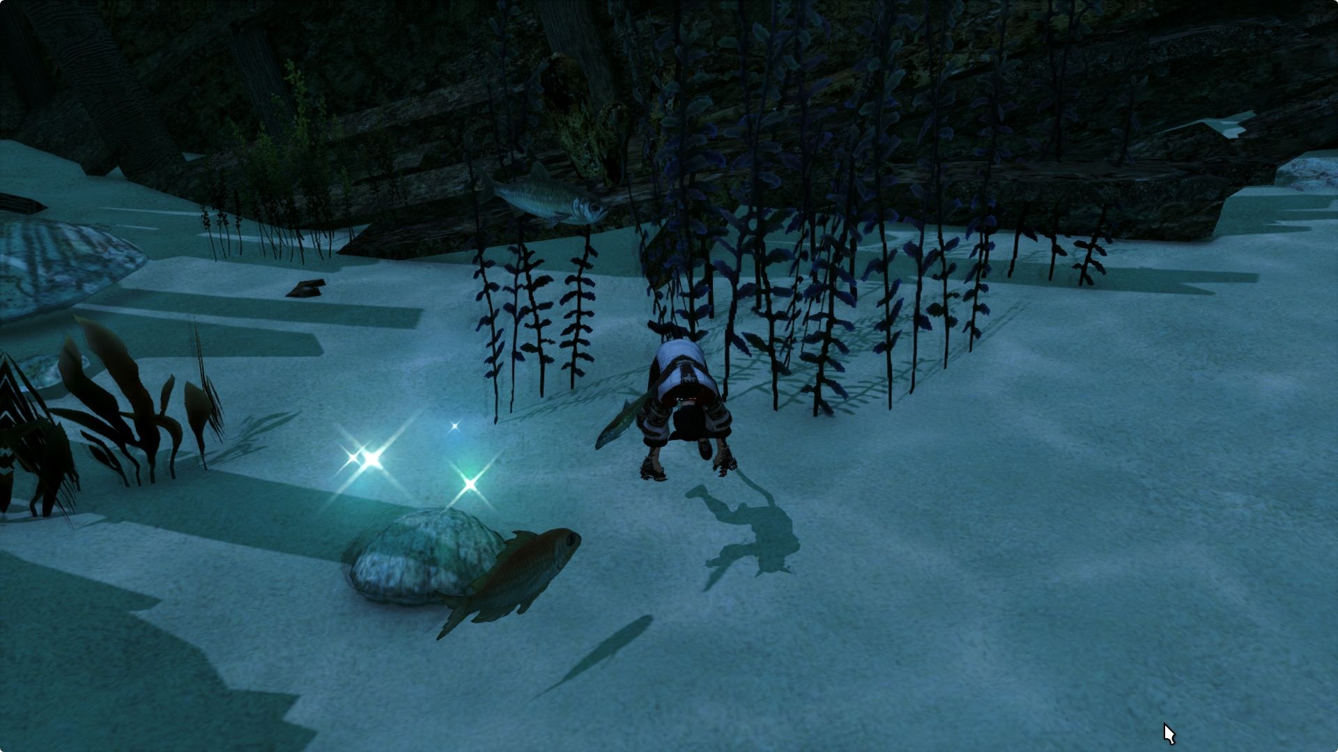 FF14 Island Clam: What's the Deal and How to Handle It?