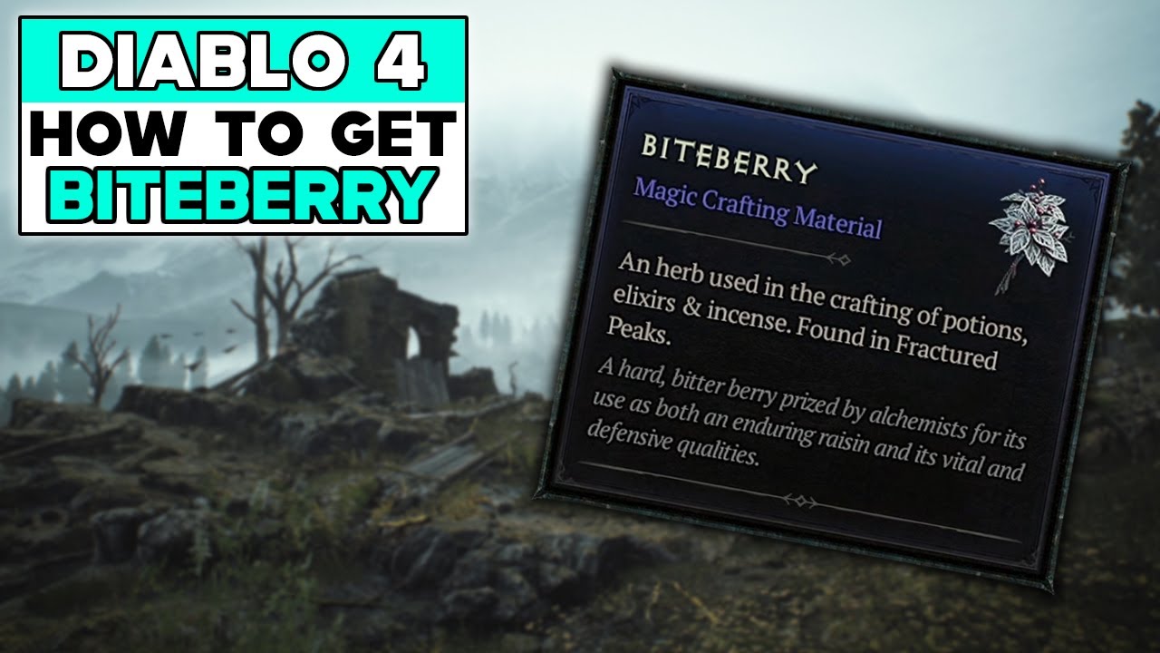 d4 Biteberry: The Frustrating and Mysterious Issue in the Game