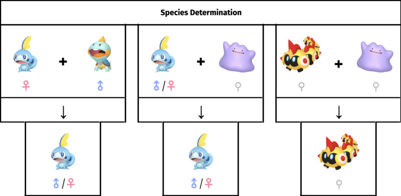 Everything You Need to Know About Ditto Breeding in Pokémon