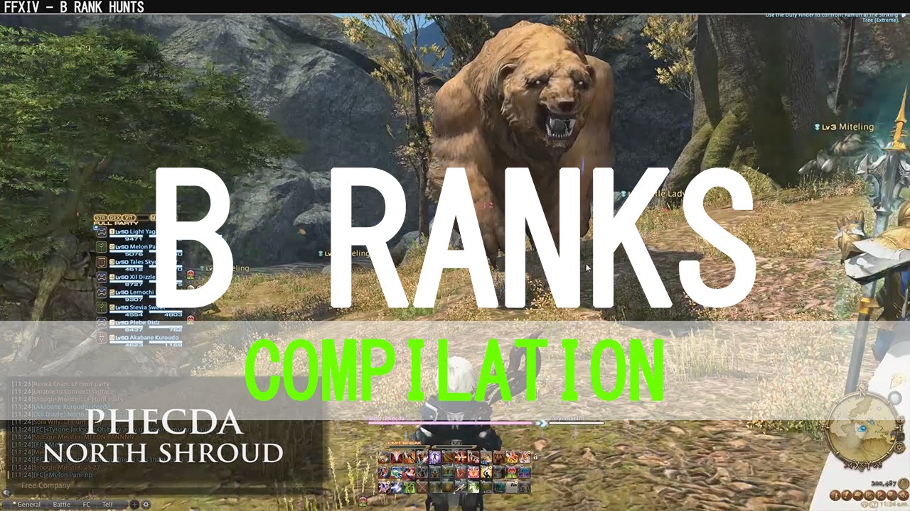 FFXIV B Rank Hunts: A Journey of Challenges and Triumphs