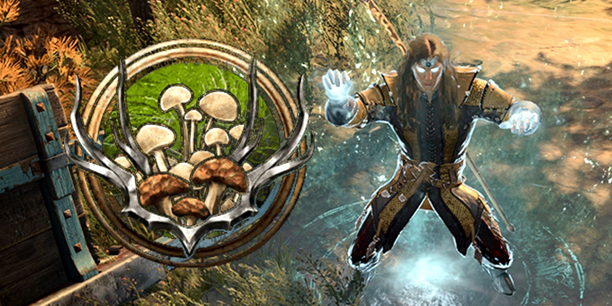 Circle of Spores Necromancer BG3: How to Use It and Why It's Awesome