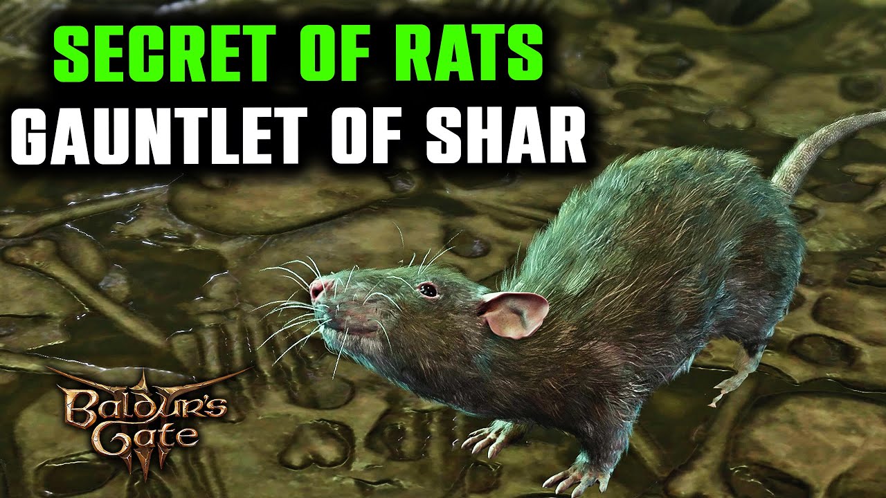 BG3 Many Rats: Why There Are So Many Rats in Baldur’s Gate 3 and How to Deal With Them
