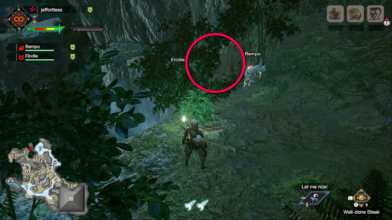 Exploring the Flooded Forest Relic: Mysteries, Challenges, and Solutions