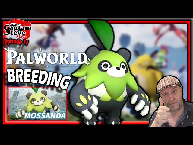 Breed Mossanda: How to Overcome the Struggles in Your Gaming Journey