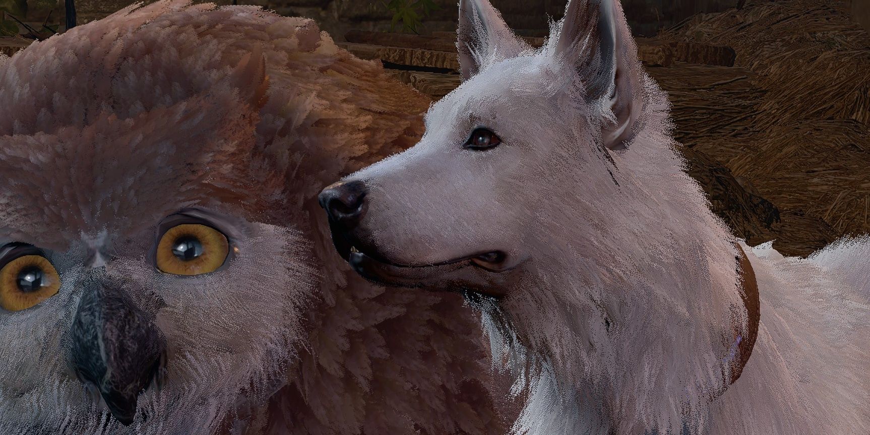 BG3 Pet Scratch and Owlbear: A Strange Problem That Needs Attention