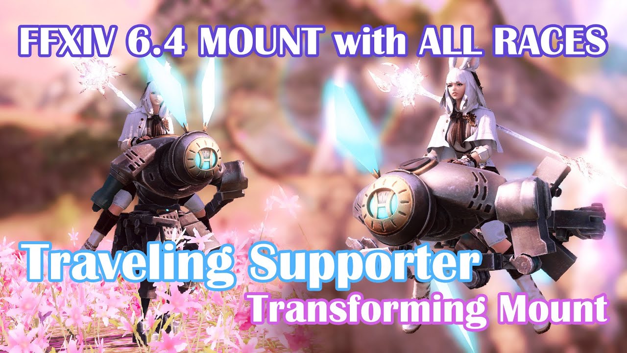 FFXIV Travelling Supporter: Problems and Solutions