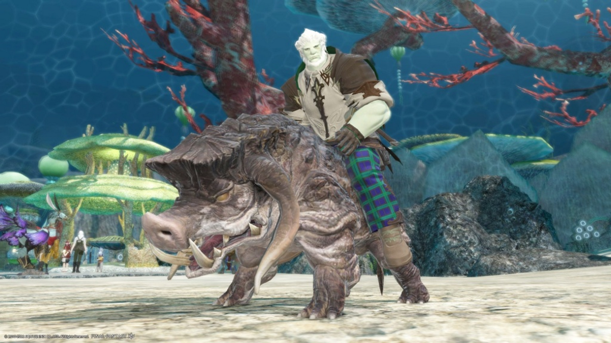 FFXIV Calydontis: An Adventure Full of Surprises