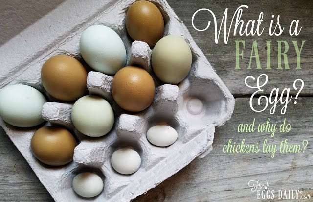 What is "Fairy Egg Meaning" in Games? A Fun Dive into This Curious Term!