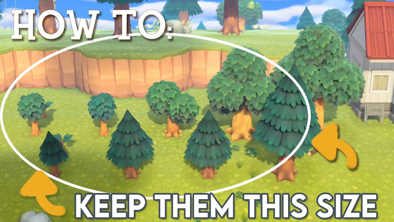 Cedar Sapling ACNH: The Ultimate Guide for Players Struggling with Growing Trees