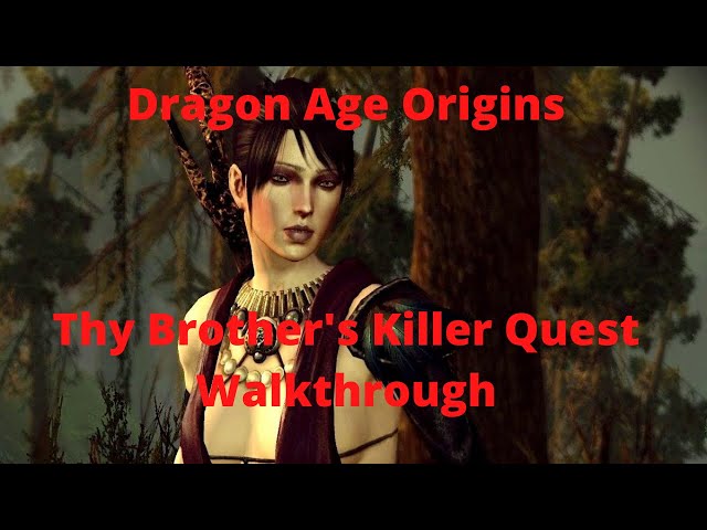 Dragon Age Origins Thy Brother's Killer: A Closer Look at the Mystery